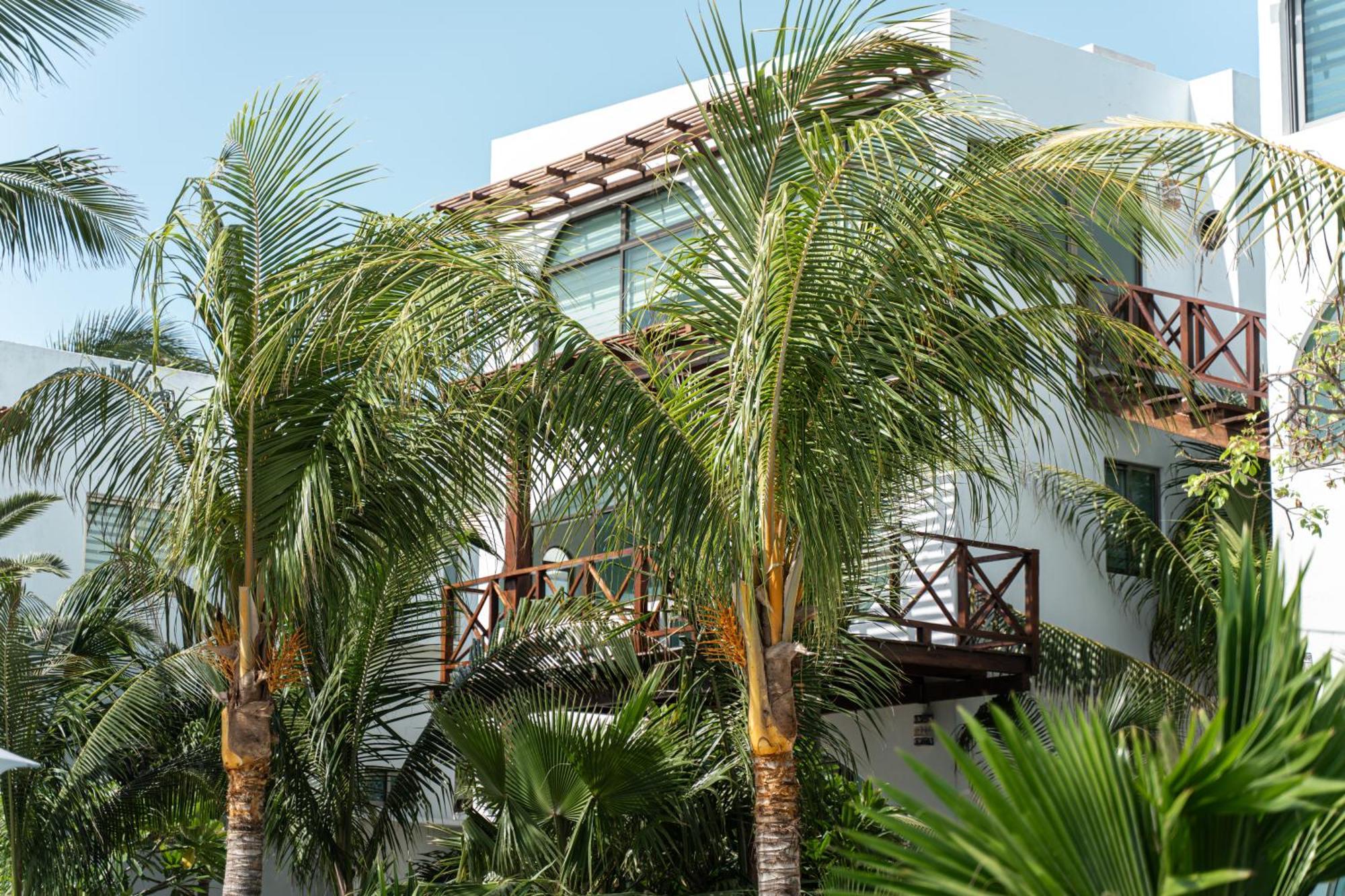 Villas Amanecer By Andiani Travel Isla Mujeres Luaran gambar